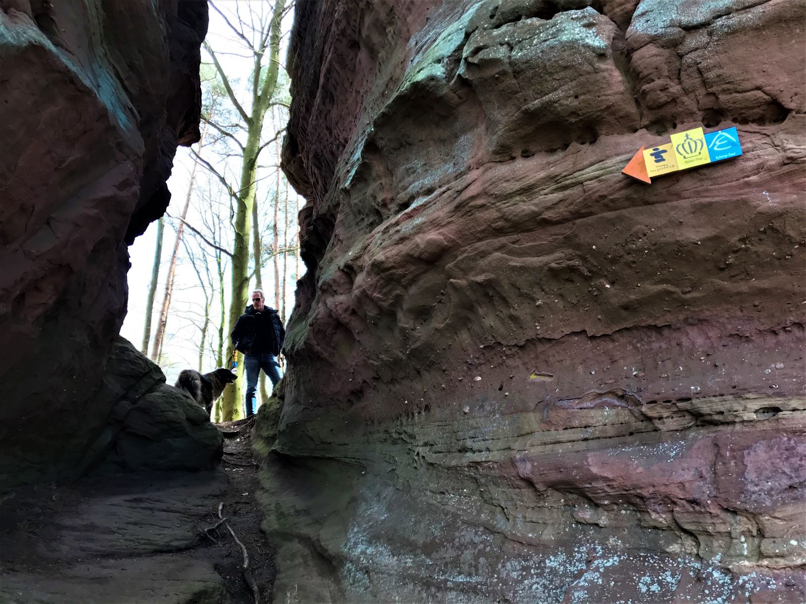 Wandern Mit Hund Auf Dem Dahner Felsenpfad In Der Pfalz