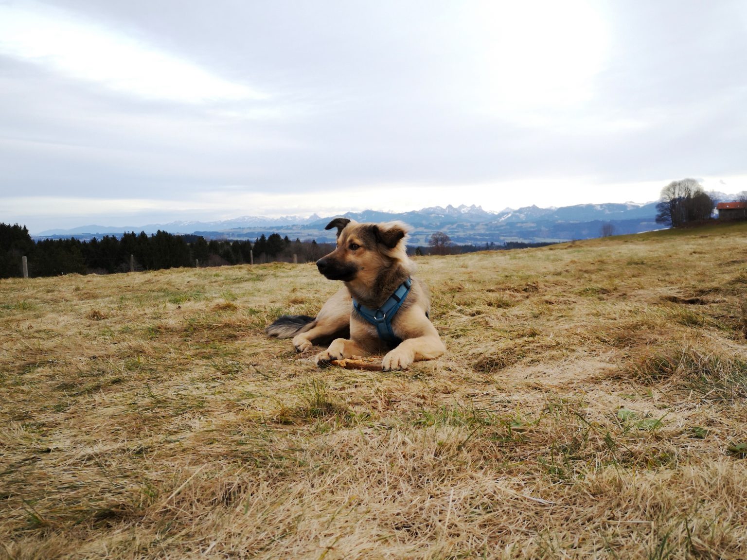 Unterallgäu an der Illerschleife