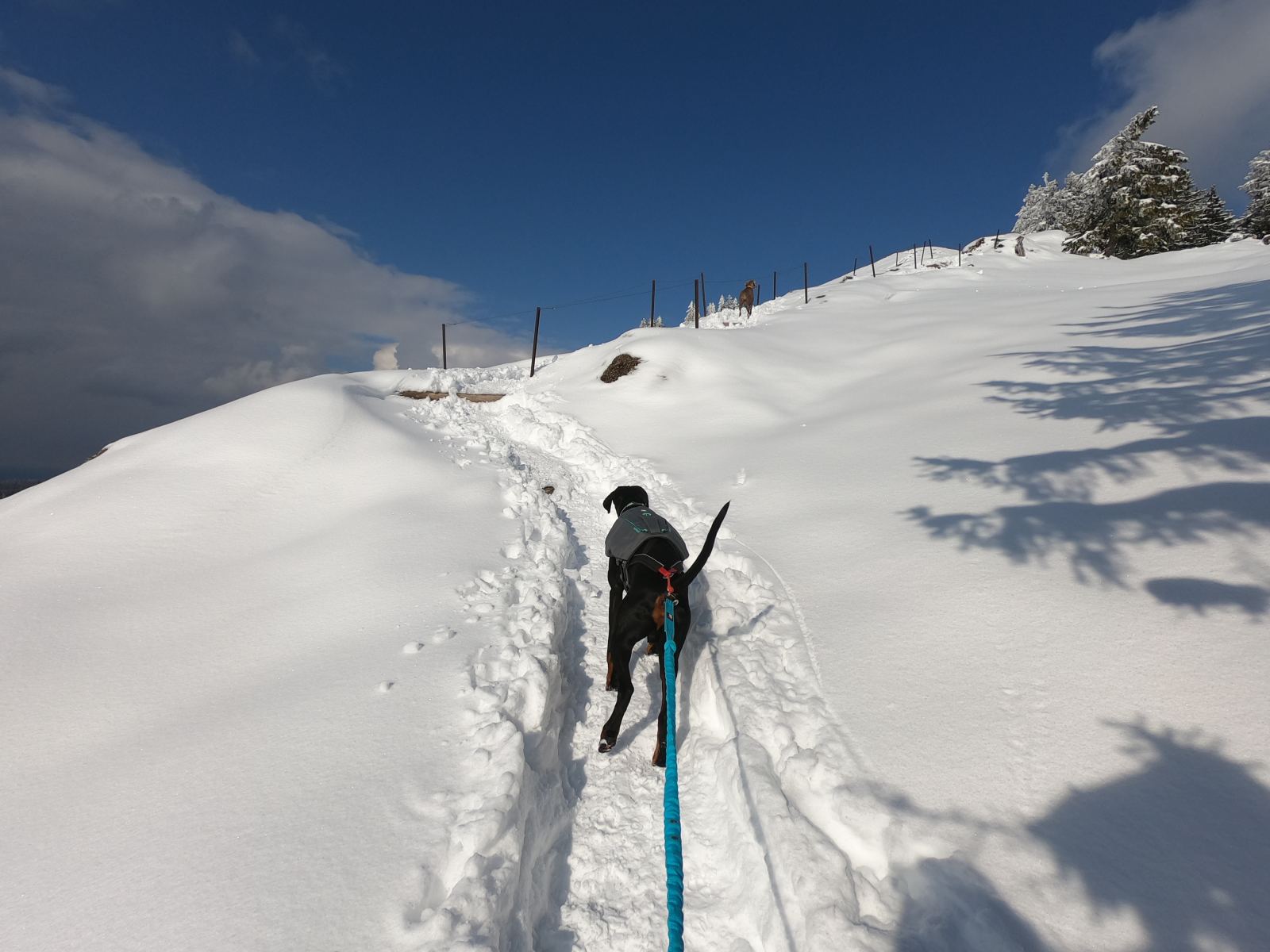 Baumgartenschneid (1448m) Tegernsee