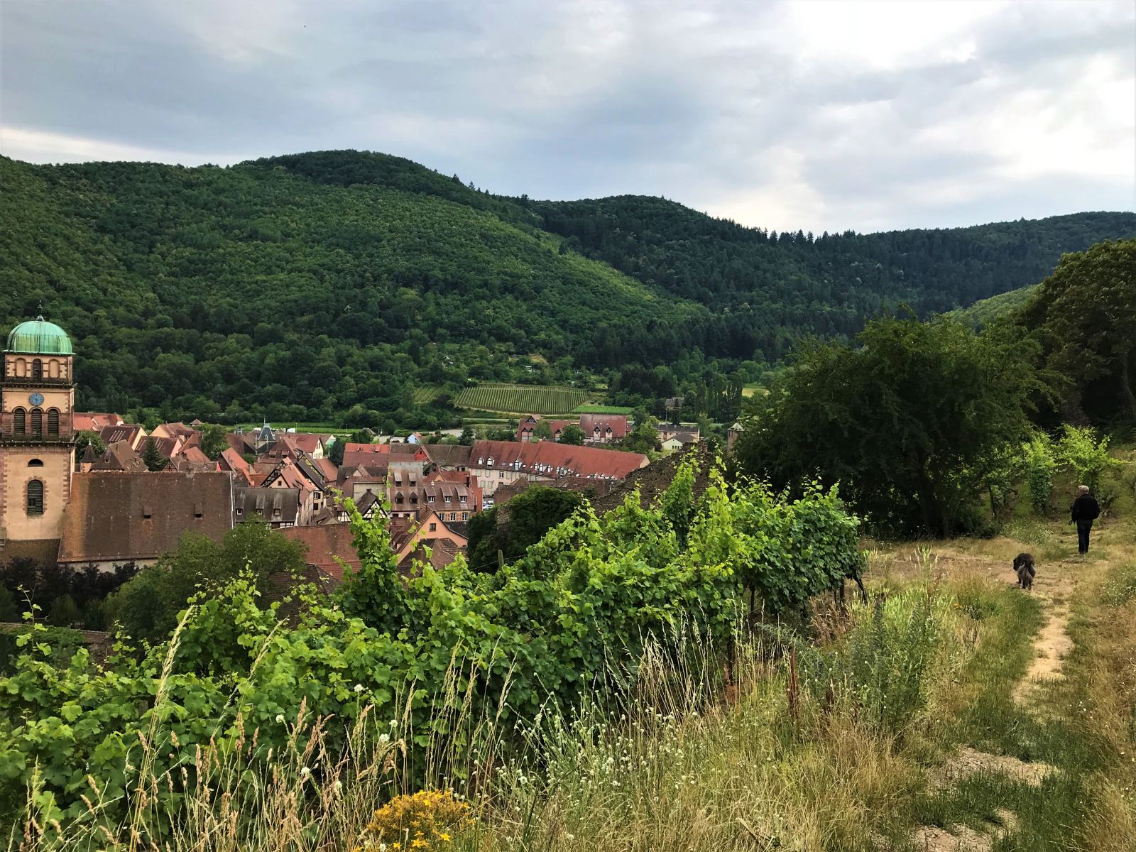 Alt-Tag: Was ist hier zu sehen?