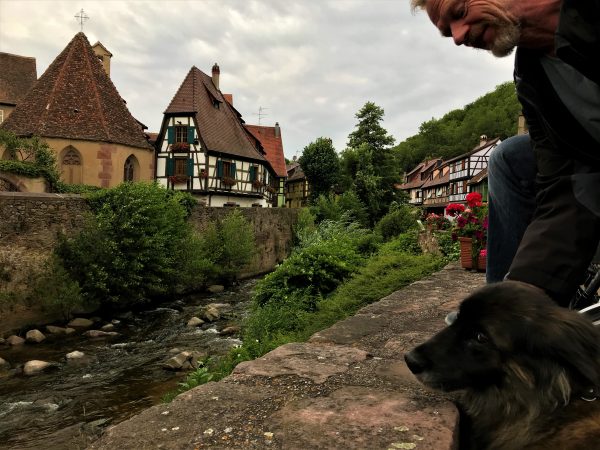 Alt-Tag: Was ist hier zu sehen?