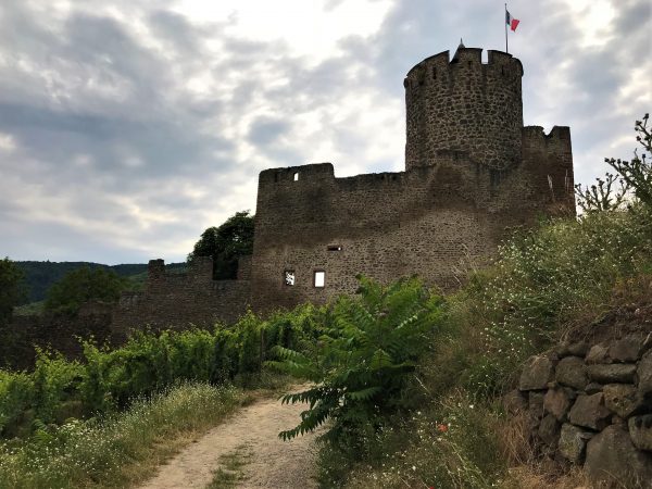 Alt-Tag: Was ist hier zu sehen?