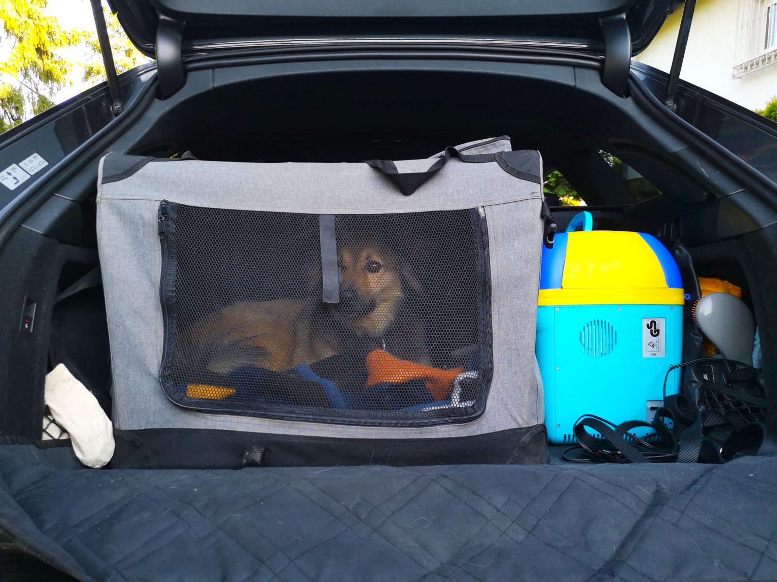 Hundebox fürs Auto - Dein Hund sicher im Kofferraum. Hunde Box aus