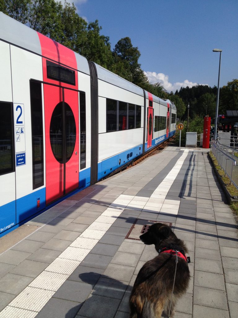 Bahn De Fahrradkarte Kaufen