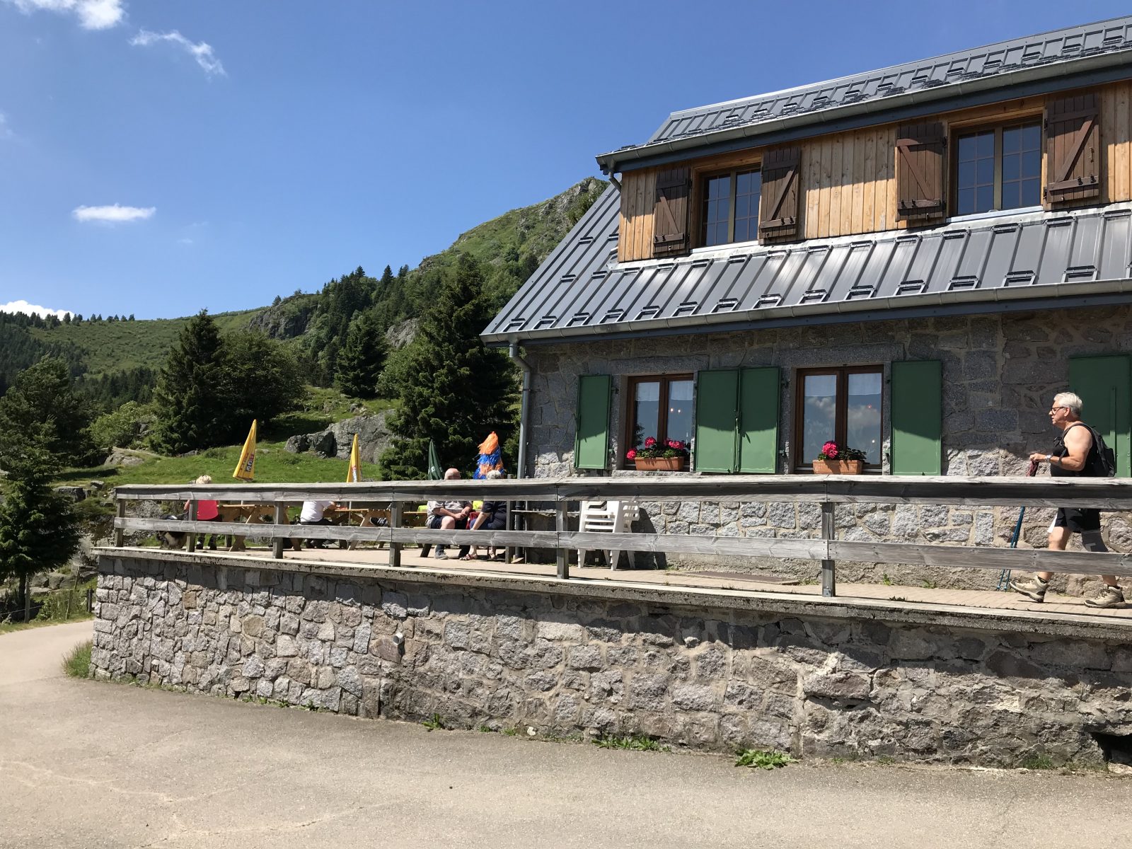 Urlaub mit Hund in den Vogesen
