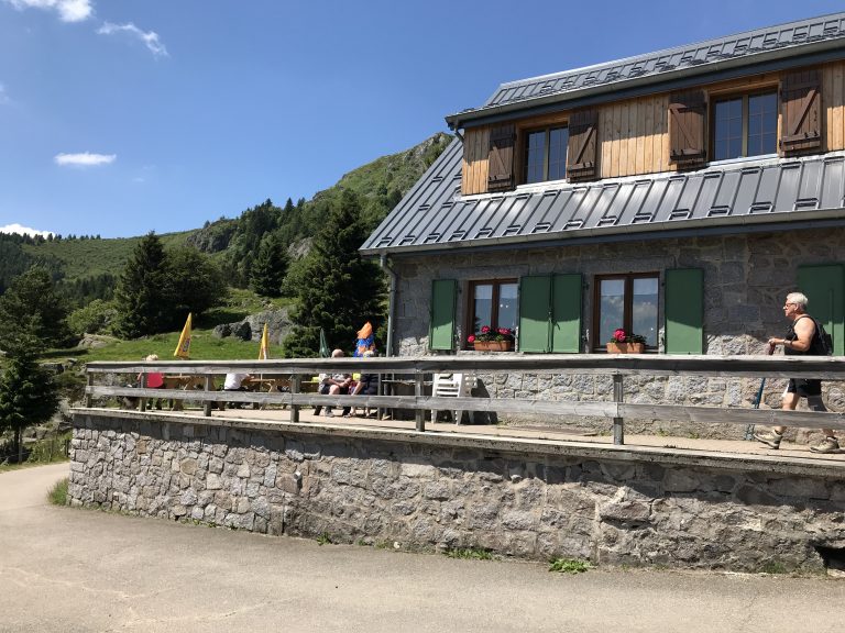 Urlaub mit Hund in den Vogesen