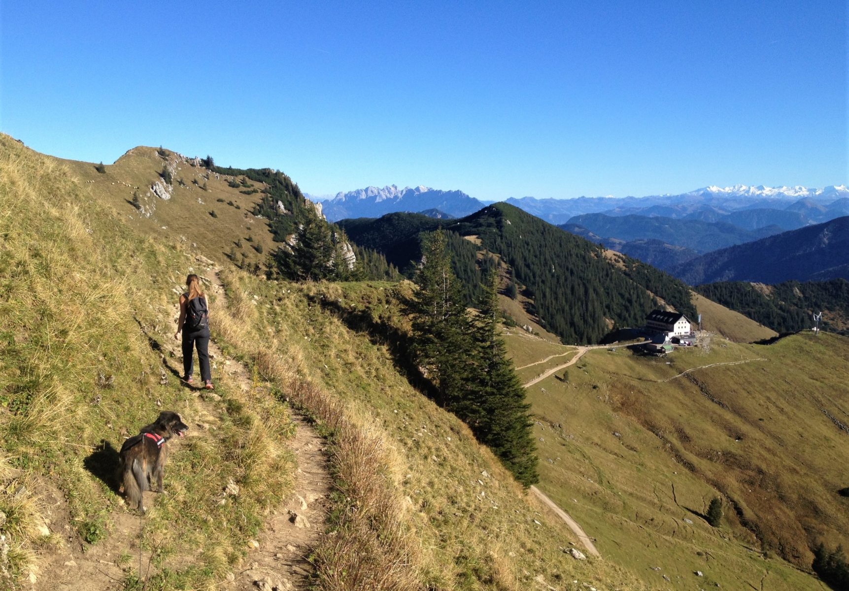 Urlaub mit Hund Region Schliersee Bayrischzell