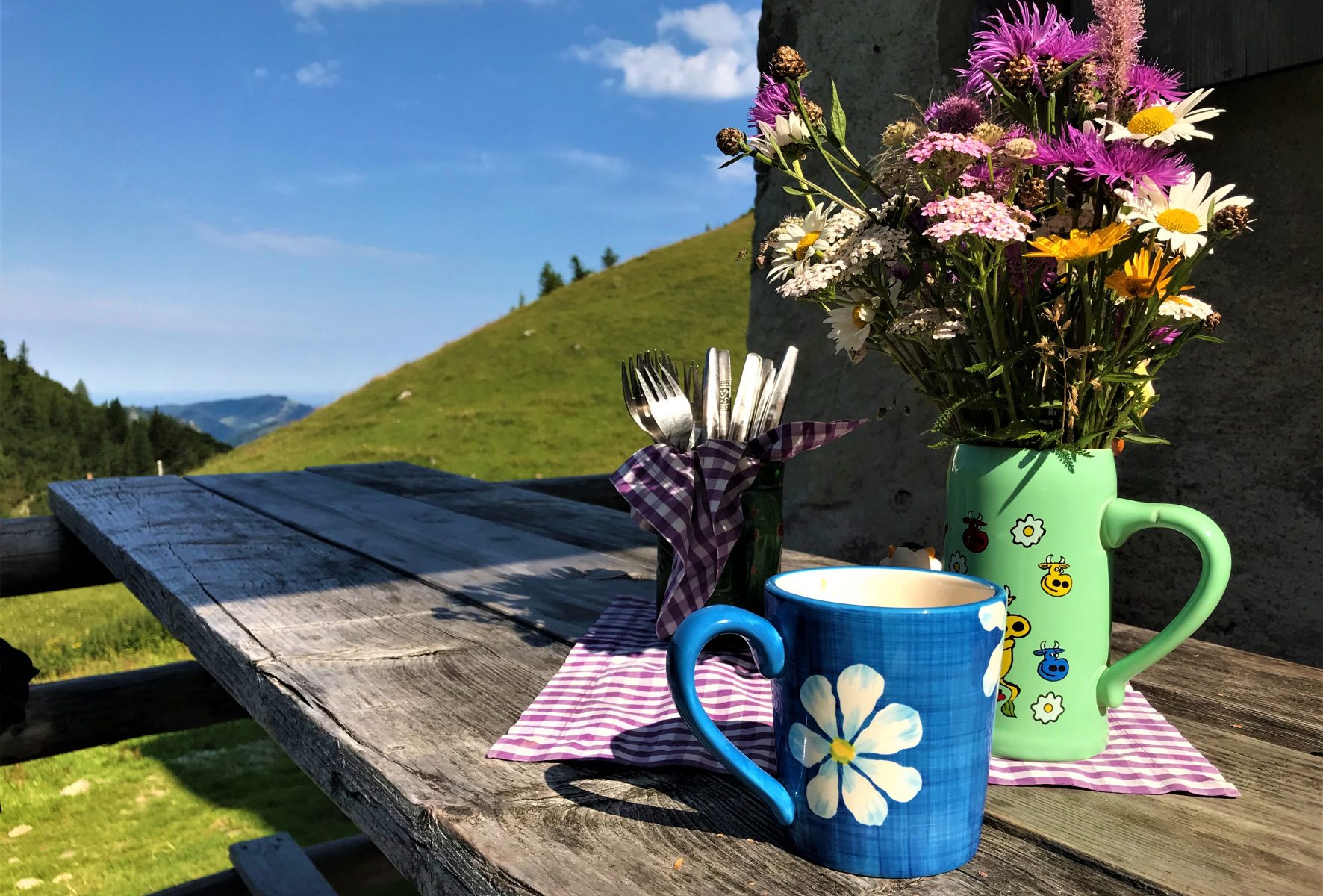 Urlaub mit Hund Region Schliersee Bayrischzell