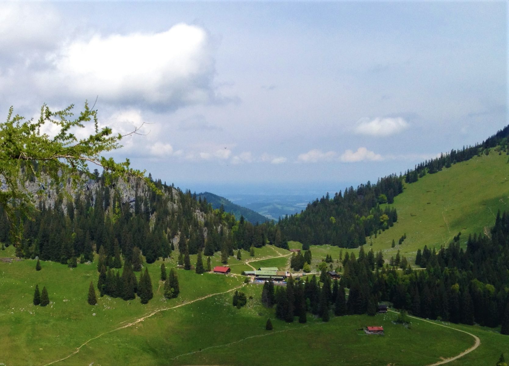 Urlaub mit Hund Region Schliersee Bayrischzell