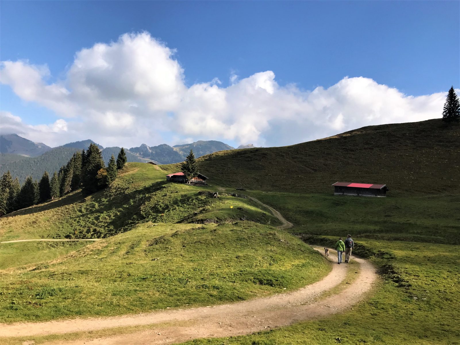 Urlaub mit Hund Region Schliersee Bayrischzell