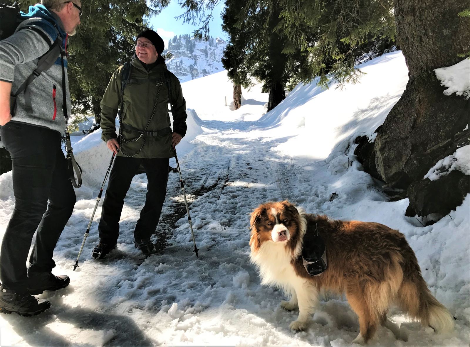 Urlaub mit Hund Region Schliersee Bayrischzell