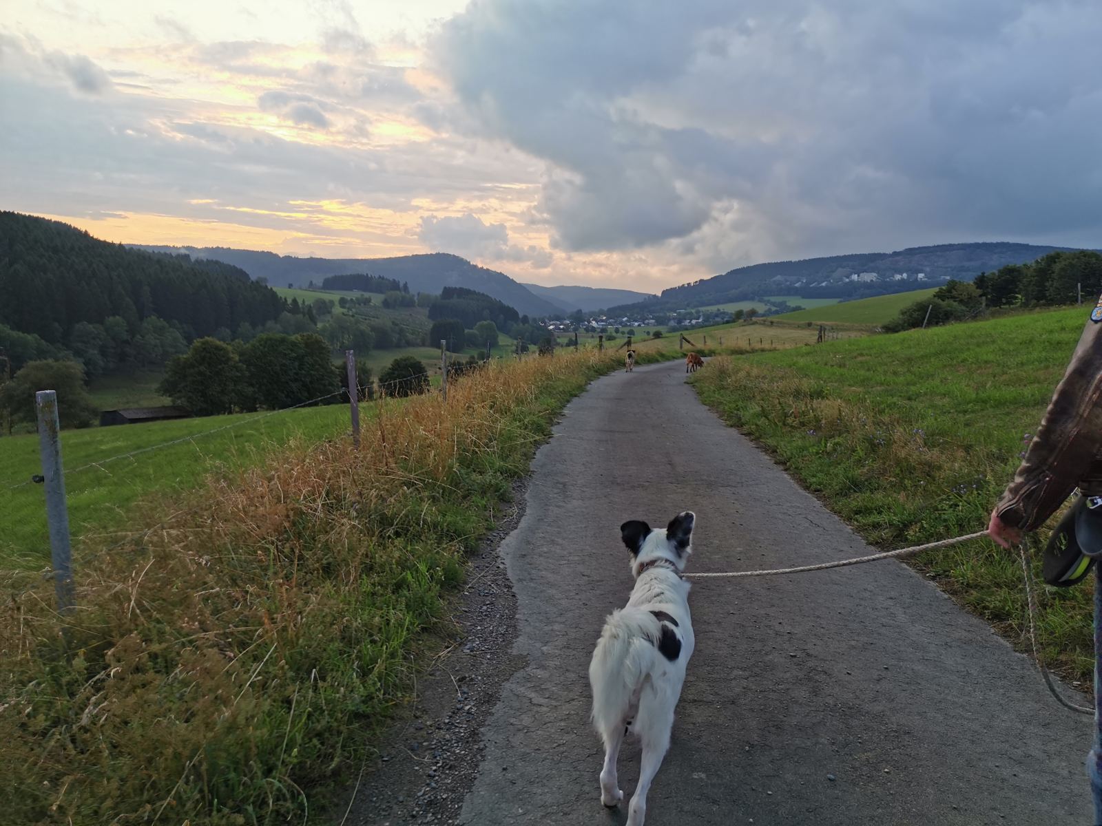 Wandern mit Hund Hildfeld Spaziergang