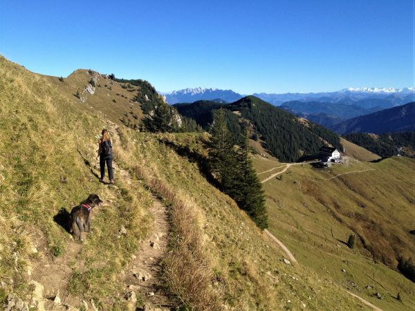 Eine Frau geht mit ihrem Hund am Rand der Rotwand. Unter ihr liegt das Rotwandhaus.