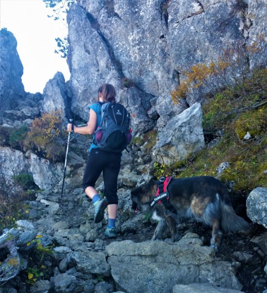 Eine Frau geht mit ihrem Hund über Geröll den Berg hinauf Richtung Rotwand.