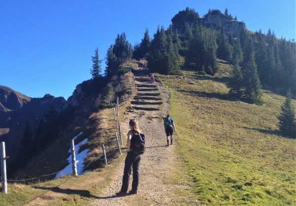 Eine grobe Treppe führt den Weg hinauf Richtung Rotwand.