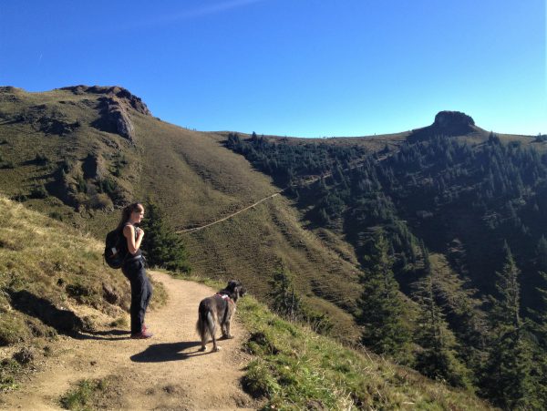 Blick auf den Kirchstein gegenüber der Rotwand.