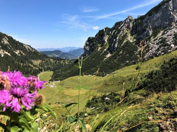 Ein Tal, von Bergen umrahmt und Blumen im Vordergrund.