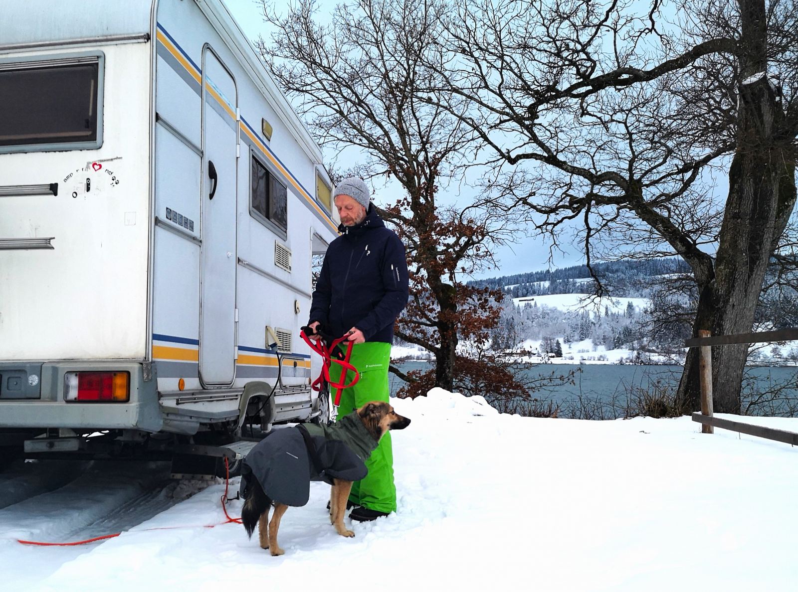 Winterwandern Mit Hund: Das Gilt Es Zu Beachten