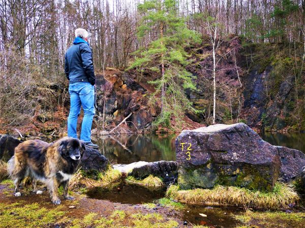 Wir sehen einen kleinen See, den ein Mann und sein Hund betrachten.