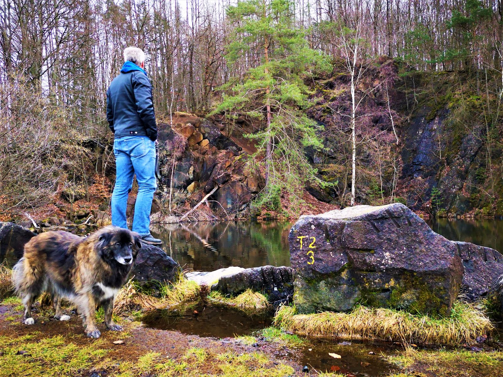 Wir sehen einen kleinen See, den ein Mann und sein Hund betrachten.