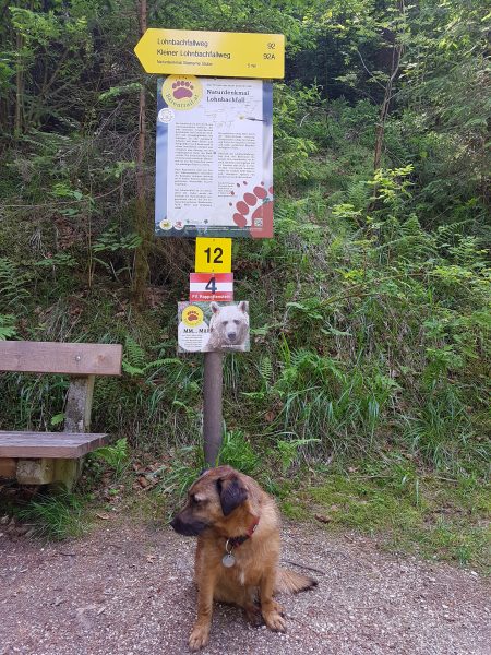 Auf dem Weg zum Lohnbachfall