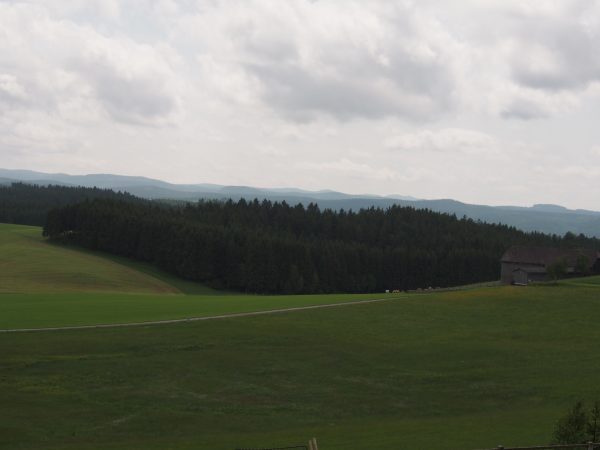 auf dem Weg ins Tannermoor