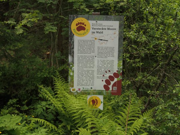 auf dem Weg ins Tannermoor