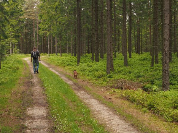 auf dem Weg ins wunderschöne Tannermoor
