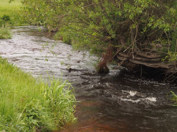 am Kamp entlang von Arbesbach nach Rappottenstein