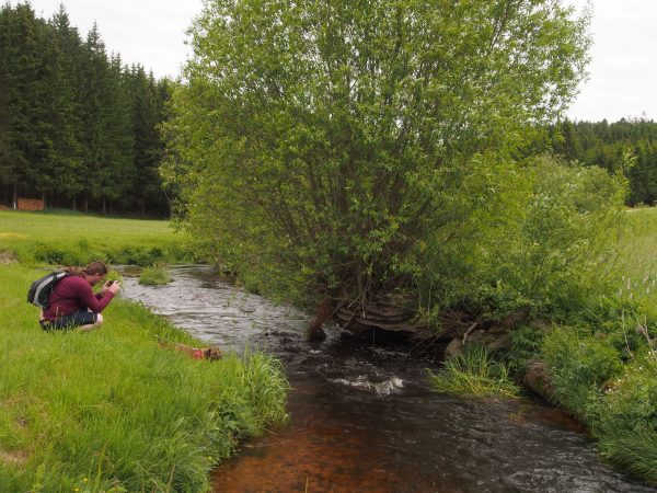 am Kamp entlang von Arbesbach nach Rappottenstein