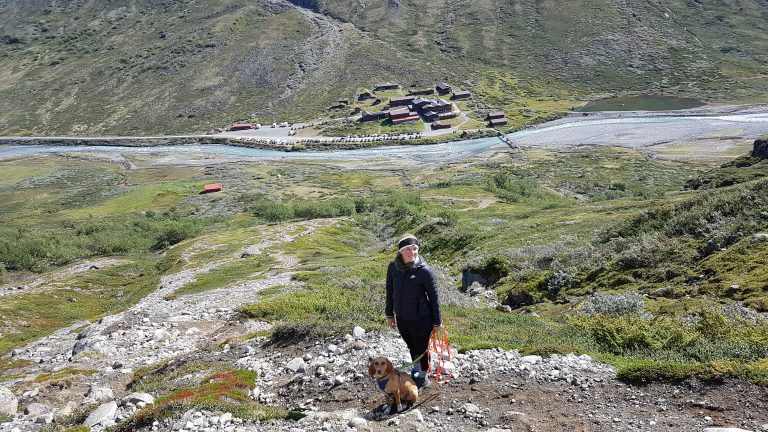 Urlaub mit Hund in Norwegen