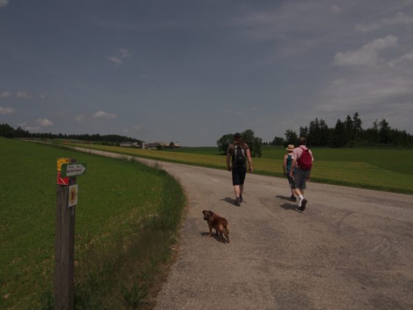 von Altmelon Richtung Bärenwald Arbesbach