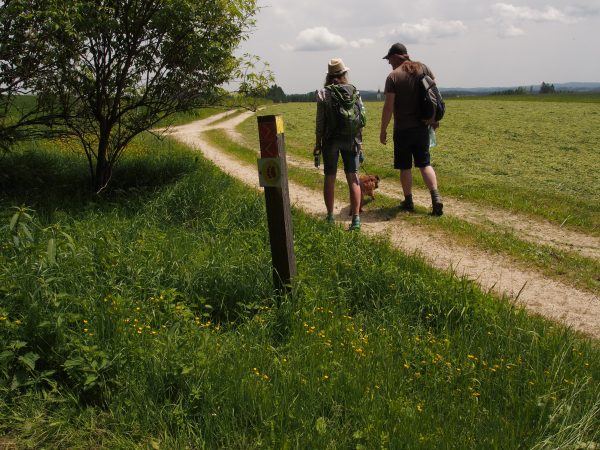 Wandern am Bärentrail