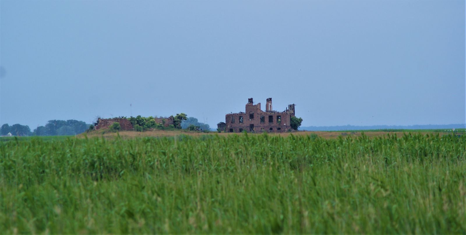 Blick auf das Riether Werder, die einzige deutsche Insel im Stettiner Haff.