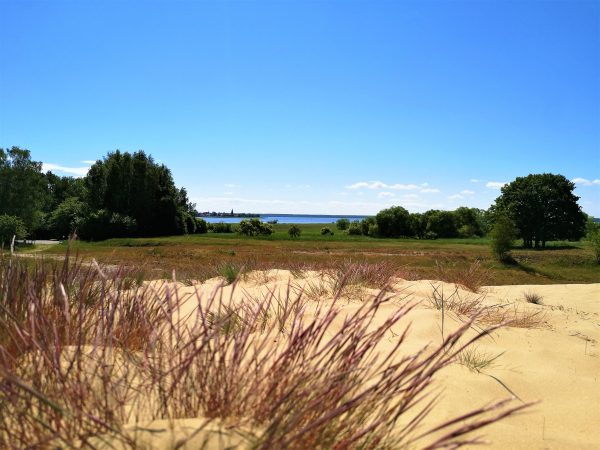 Eine Binnendüne im Stettiner Haff.