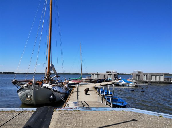 Der Bootssteeg im kleinen Riether Hafen.