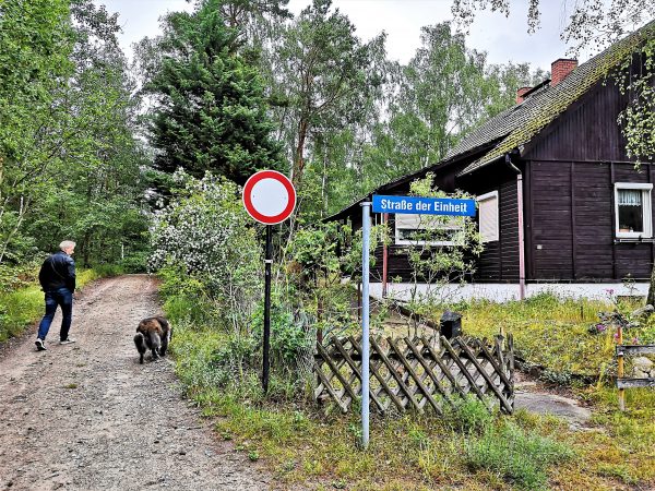 Ein Mann und sein Hund biegen in einen Waldweg.