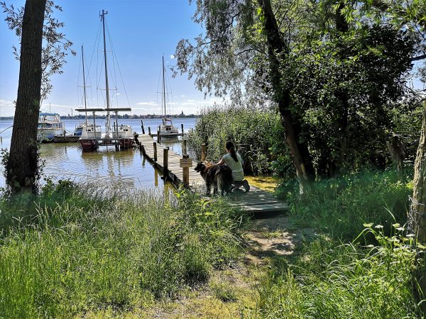 Eine Frau steht mit ihrem Hund auf einem Bootsteeg.