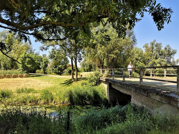 Ein Mann geht mit seinem Hund über eine Brücke.