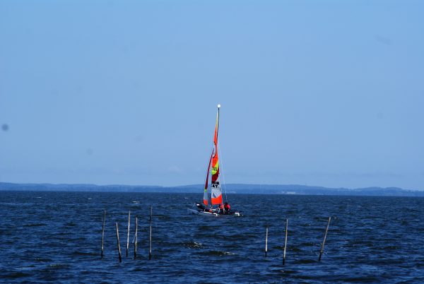 Ein Katamaran im Stettiner Haff.