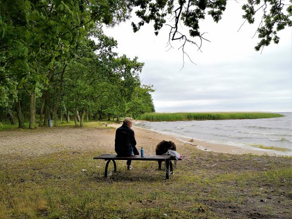 Ein Mann und sein Hund machen Rast an einem Strand.