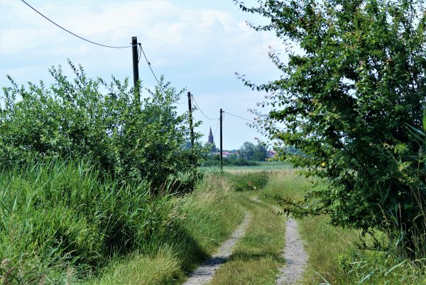 Ein Wanderweg, der nach Ueckermünde führt.