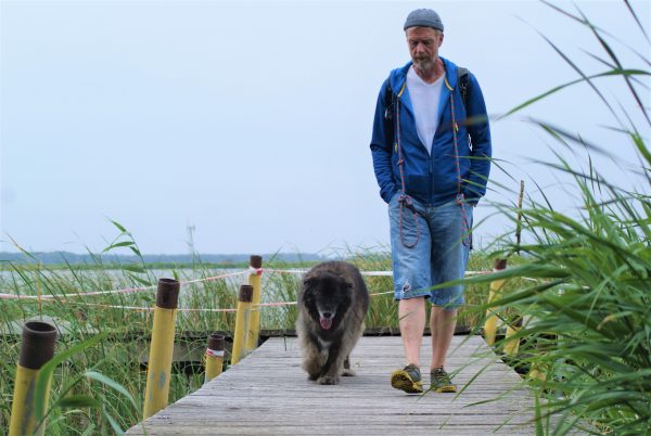 Ein Mann geht mit seinem Hund über einen Bootssteeg am Stettiner Haff.