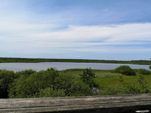 Der Ludwigshofer See von oben.