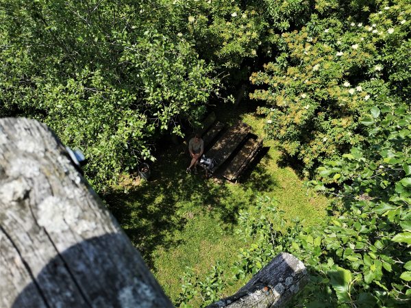 Ein Rastplatz im Wald von oben.