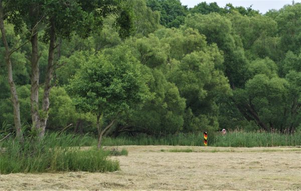 Zwei Steinpfosten markieren die deutsch-polnische Grenze am Stettiner Haff.