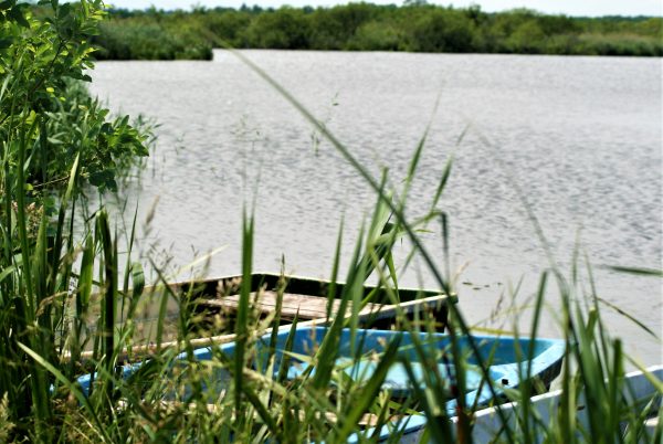 Boote liegen im Schilf am Ludwigshofer See.