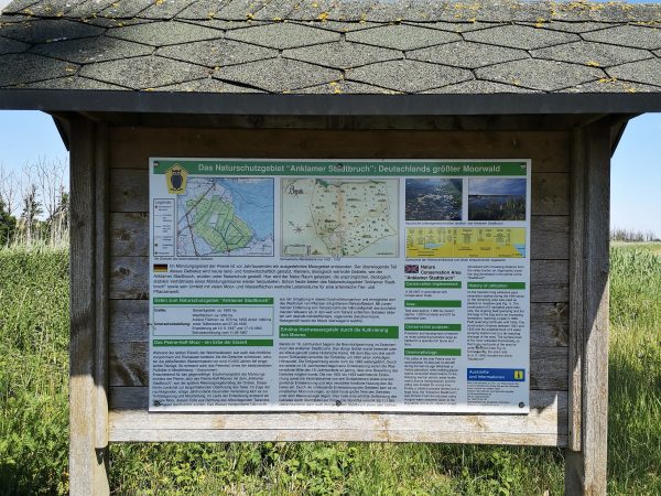 Eine Tafel mit Informationen über Entstehung und Besonderheiten des Anklamer Stadtbruchs.