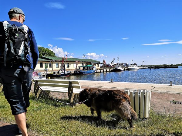 Der Hafen von Altwarp.