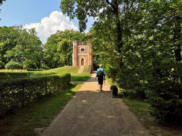 Ein Mann geht mit seinem Hund durch den Park.